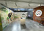foamboard backdrop