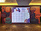 foamboard backdrop